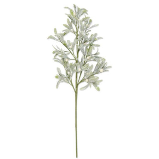 Glittered Mistletoe Stem with White Berries