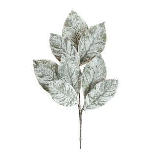Magnolia Leaf Spray