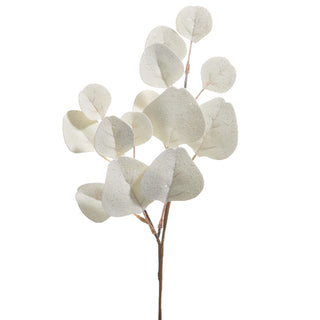 White Eucalyptus Pick