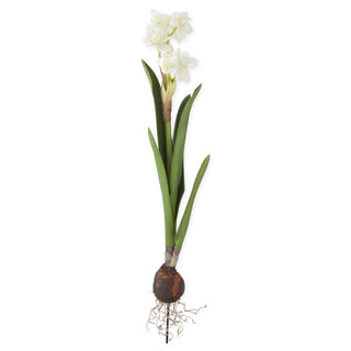 White Real Touch Paperwhites Bulb