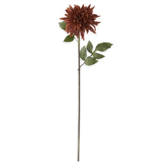 Light Brown Dahlia Stem