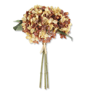 Yellow and Brown Hydrangea Bundle