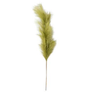 Green Pampas Grass Stem