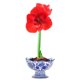 Scalloped Edge Footed Bowl