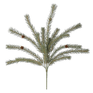 Green Pine Bush with Pinecones