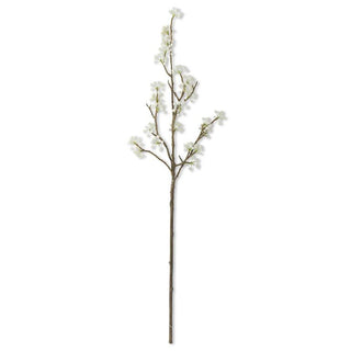 Cream Berry Stem