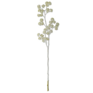 White Glittered Sedum Stem