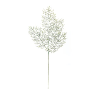 Cedar Spray