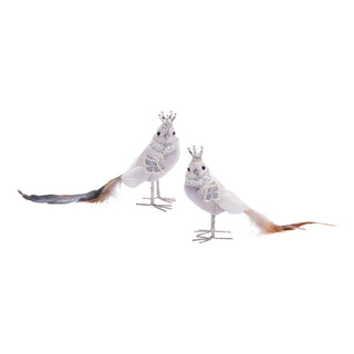 Royal Bird