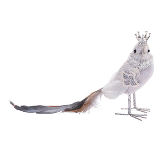 Royal Bird