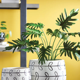 Split Leaf Selloum Stems Bundle