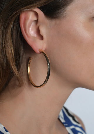 Farrier Hoop Earrings