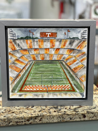 University of Tennessee Framed Painting