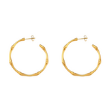 Bailey Hoops