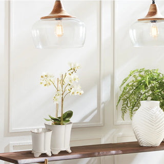 Phalaenopsis Orchid Bowl Drop In 20"
