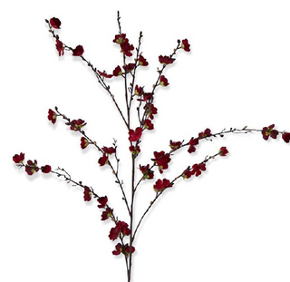 Red Cherry Blossom Stem