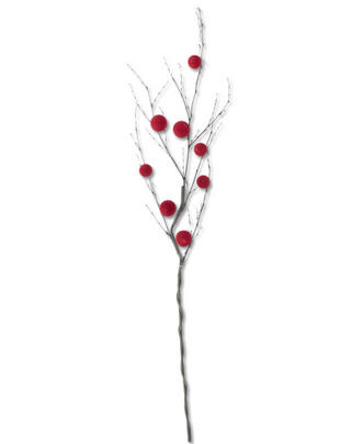 Red Ball Branch