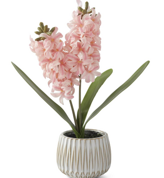 Real Touch Hyacinth In White Ceramic Pot