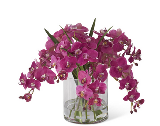 Orchid in Glass Vase with Faux Water