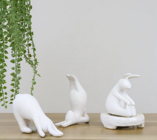 Yoga Bunnies