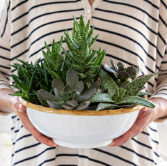 Classic Bamboo Natural 11" Serving Bowl