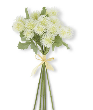 White Sycamore Fruit Ball Bundle