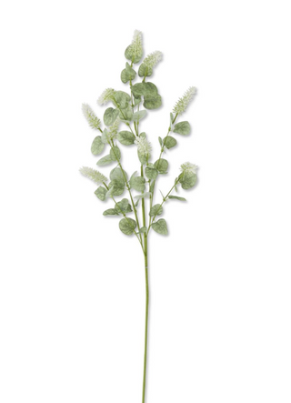 Lavender with Eucalyptus Leaves Stem