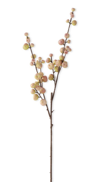 Crabapple Stem