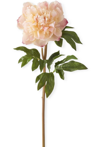 Real Touch Peony Stem