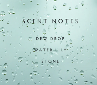 Rain Room Spray