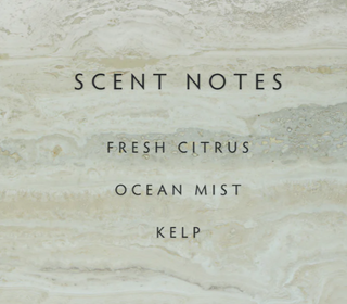 Sea Salt Room Spray