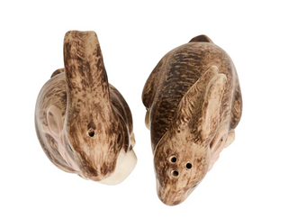 Clever Creature Bunny Salt and Pepper Shakers