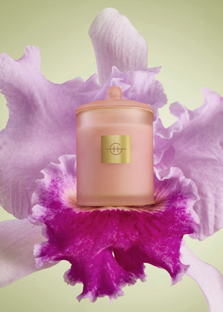 Radiance in Bloom Candles