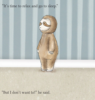 Can't Sleep, Won't Sleep Book