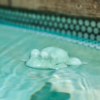 Floating Ceramic Frog