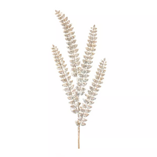 Fern Spray