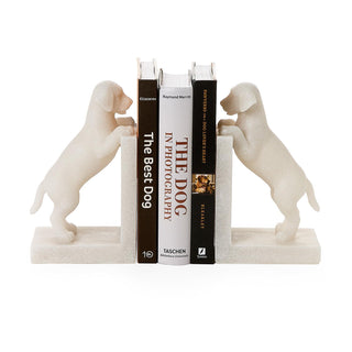 Playful Puppy Book Ends