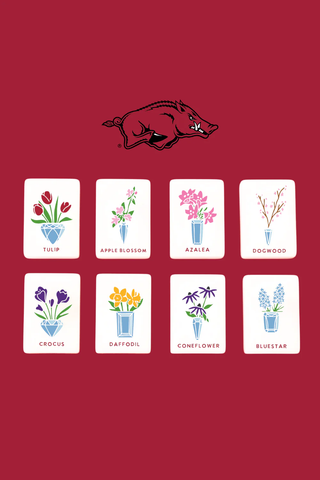 University of Arkansas Mahjong Tile Set
