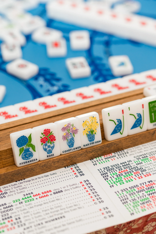 Ole Miss Mahjong Tile Set