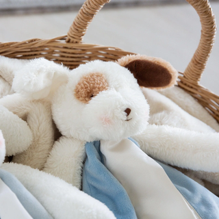 Skipit Pup Buddy Blanket