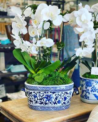 Triple Orchids in B/W Oval Bowl