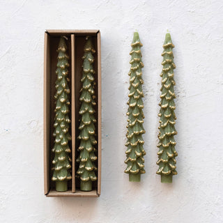 Unscented Tree Shaped Taper Candles w/ Gold Tips in Box