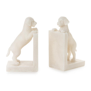 Playful Puppy Book Ends