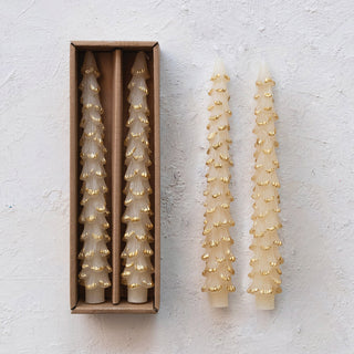 Unscented Tree Shaped Taper Candles w/ Gold Tips in Box