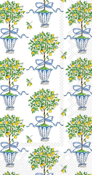 Paper Guest Towels