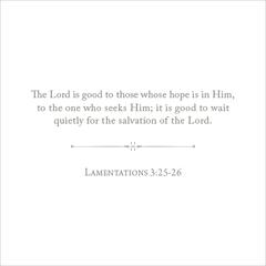 Anne Neilson 100 Days of Scripture