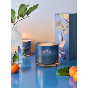 Citrus Crush Refillable Boxed Glass Candle