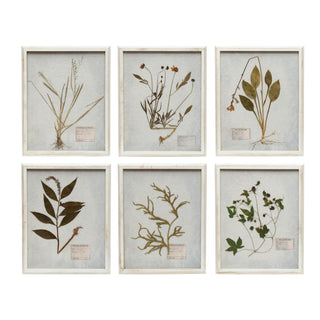 Wood Framed Glass Wall Decor - Dried Botanicals