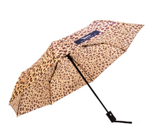 High and Dry - Umbrella