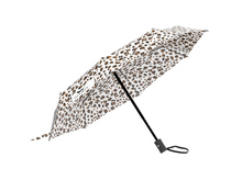 High and Dry - Umbrella